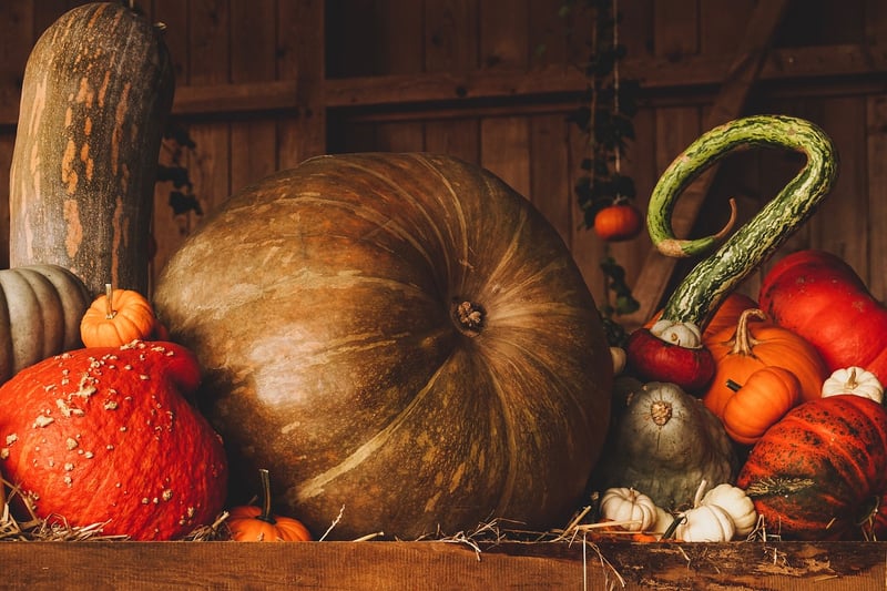 Fall Harvesting Advice
